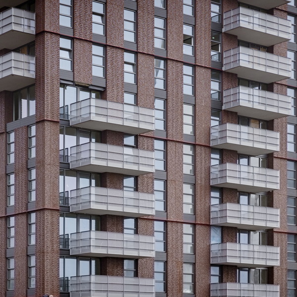 De Groene Kaap verwelkomt haar eerste bewoners  : De Groene Kaap verwelkomt haar eerste bewoners 