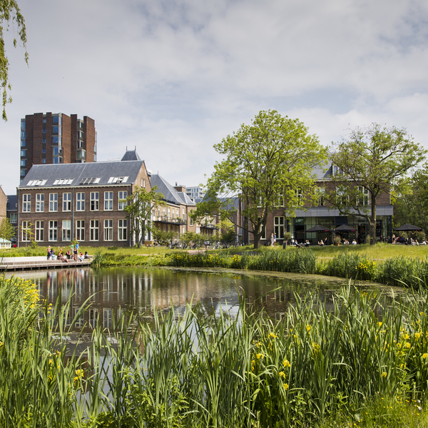 De natuur-inclusieve stad : De natuur-inclusieve stad